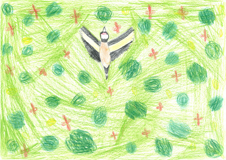 Goldfinch by Jessica Plummer, Age 10, Elton Primary School